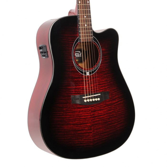 Flycat C100 TRD EQ - miniatura